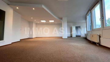 Barrierearme Büroeinheit: WG, Monteurwohnung oder barrierefreie Praxis – unweit Universitätsklinikum, 04317 Leipzig, Büroetage